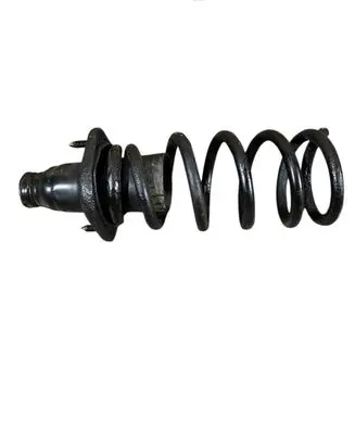 Honda CR-V Rear coil spring