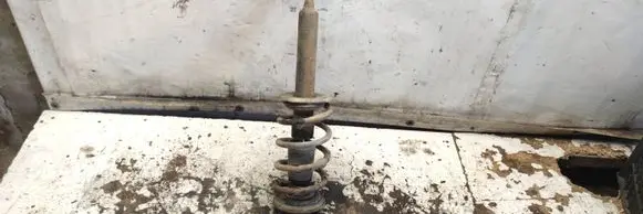 Front shock absorber with coil spring