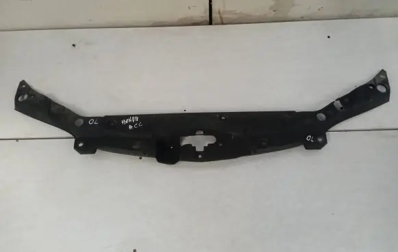 Engine bonnet/hood lock trim molding