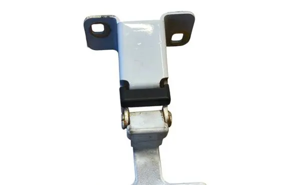 Dacia Dokker Tailgate/trunk/boot hinge 844009913R