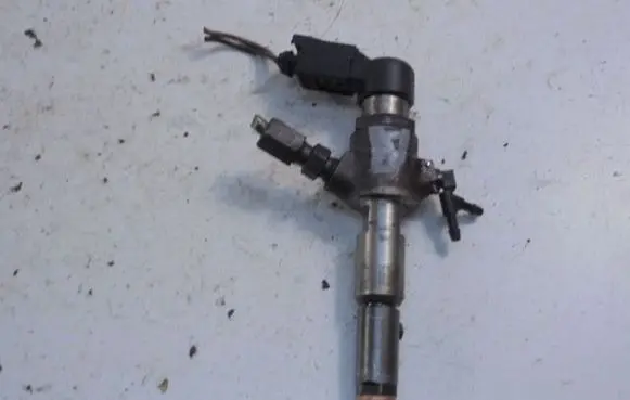 Citroen C3 Fuel injector 9655304880
