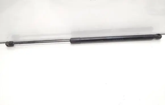 Tailgate/trunk strut/damper