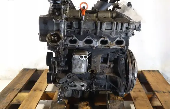 Skoda Octavia Mk2 (1Z) Engine CAX