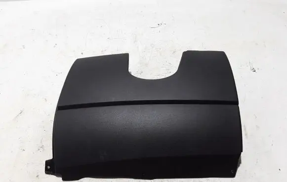 Mini Cooper Countryman R60 Panel trim 9811008