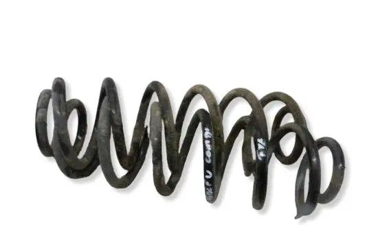 Volkswagen Golf V Rear coil spring 