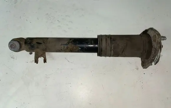 BMW X5 E70 Rear shock absorber/damper 33526780172