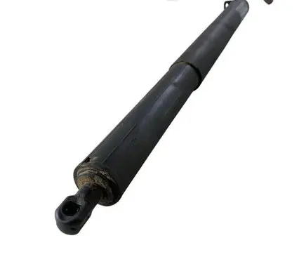 Ford Edge II Tailgate/trunk strut/damper FT4BR402A55AA