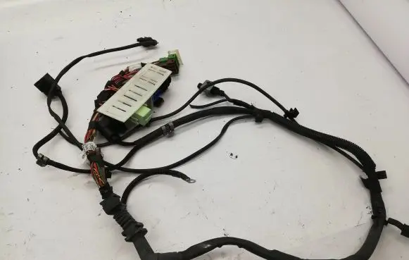 BMW X6 F16 Other wiring loom 738080805