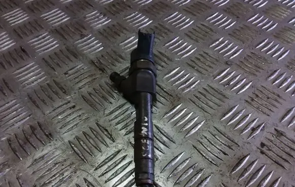 Renault Scenic I Fuel injector 8200100272
