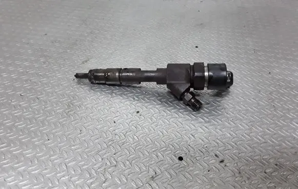 Renault Laguna II Fuel injector 0445110021