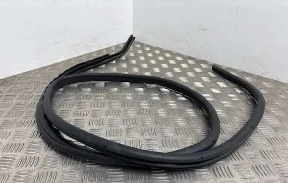 Nissan Juke II F16 Rubber seal rear door 