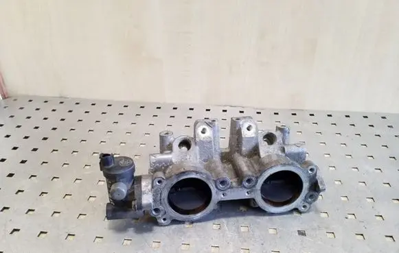 Subaru Outback Throttle valve 0120000060