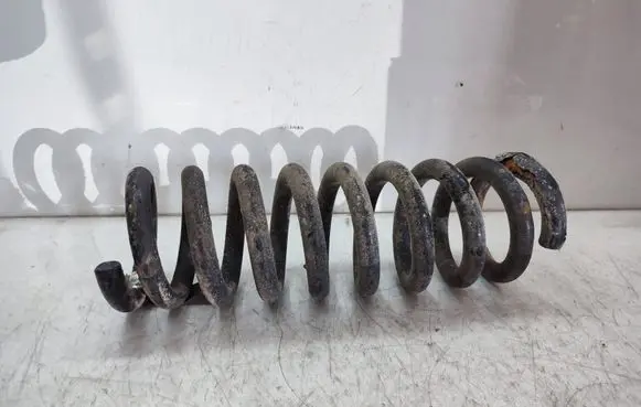 Rear coil spring