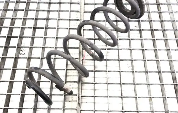 Skoda Octavia Mk3 (5E) Rear coil spring