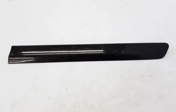 Fender trim (molding)
