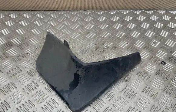 Toyota C-HR I Rear mudguard PW38910002