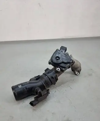 Nissan Qashqai+2 Throttle valve 8200614985