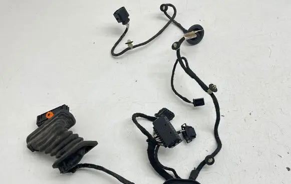 Volkswagen PASSAT B6 Rear door wiring loom 3C4971694 987688105