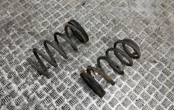 Rear coil spring