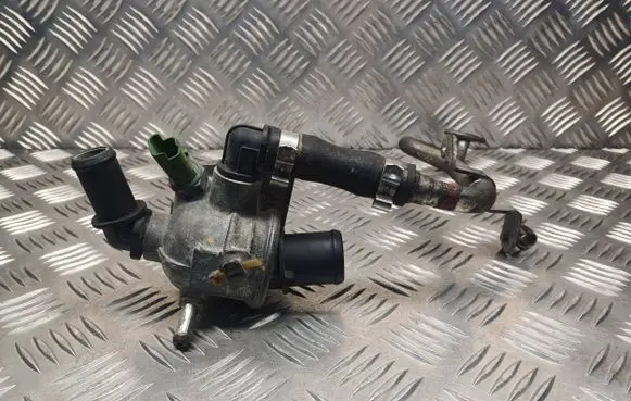 Thermostat/thermostat housing