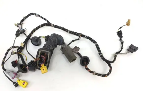 Front door wiring loom