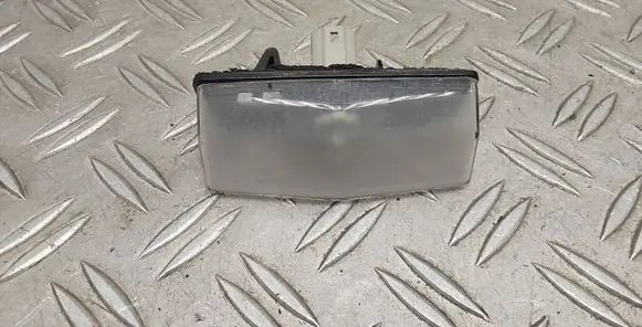 Toyota RAV 4 (XA40) Number plate light 