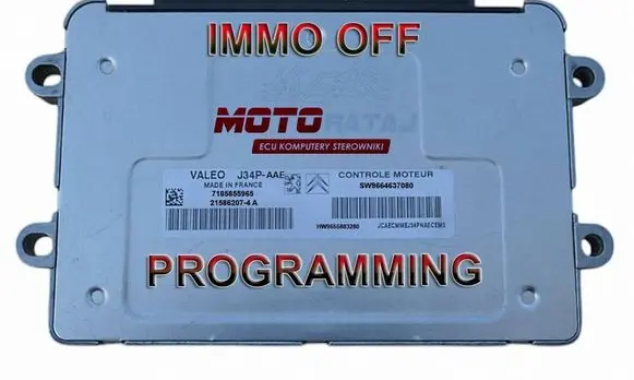 Peugeot 206 Engine control unit/module 9664637080