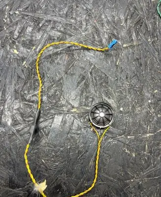 Front door high frequency speaker