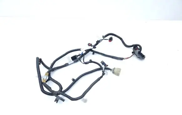 Tesla Model Y Other wiring loom 248905901B