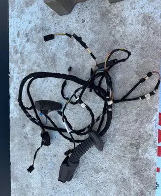 BMW 1 F20 F21 Front door wiring loom 9286169