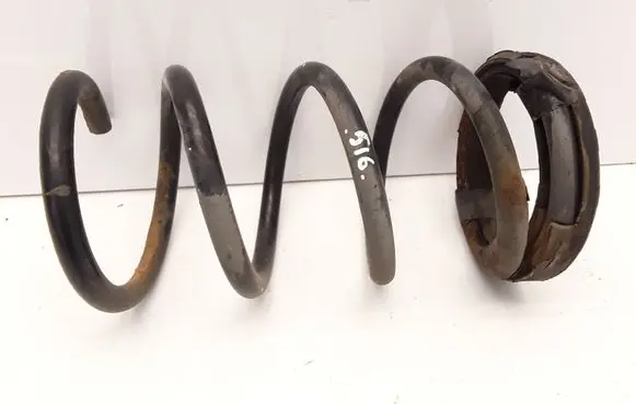 Rear coil spring