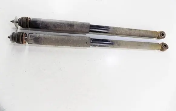 Suzuki SX4 S-Cross Rear shock absorber/damper