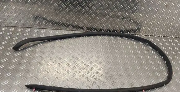 Toyota Aygo AB40 Front door rubber seal