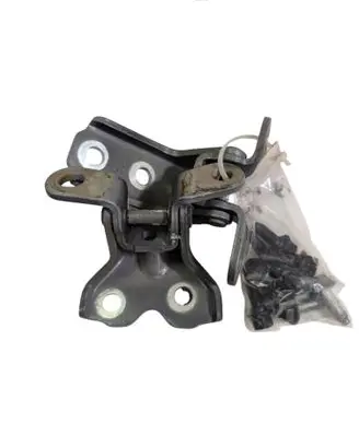 Hyundai Tucson IV NX4 Front door hinges set 