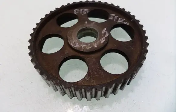 Volkswagen PASSAT B5 Camshaft pulley/ VANOS 069109111