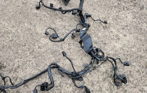 Mercedes-Benz CLS C219 Engine installation wiring loom A2195400807