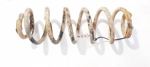 Rear coil spring