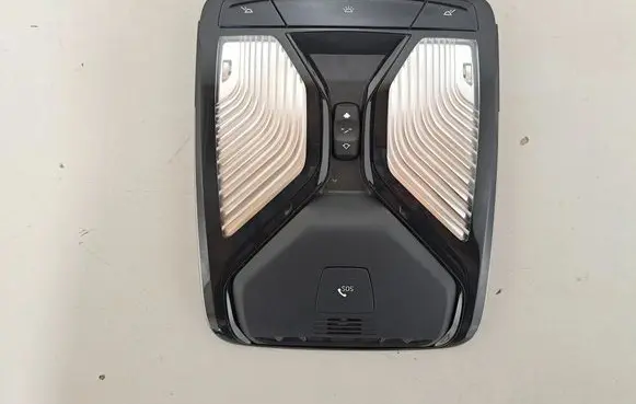BMW X4 G02 Front seat light 5A8A102 5B32494