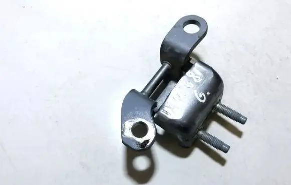 Rear door lower hinge