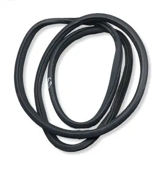Dodge RAM 1500 DS Rear door rubber seal (on body) 