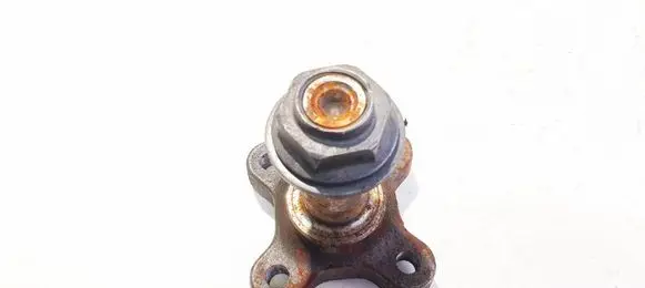 Renault Zoe Stub axle 