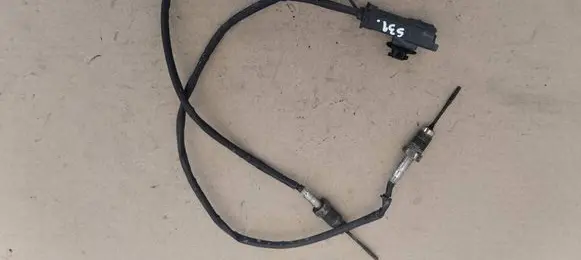 Peugeot Expert Sensor 9807562780