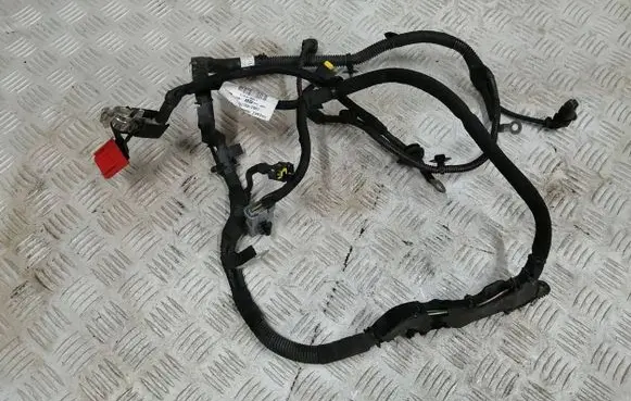 Citroen C4 III e-C4 Positive cable (battery) 9841131680