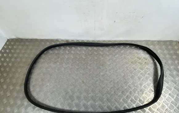 Renault Arkana Front door rubber seal 