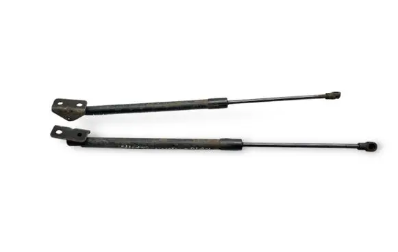 Chevrolet Captiva Tailgate/trunk strut/damper 96830123 05532220813