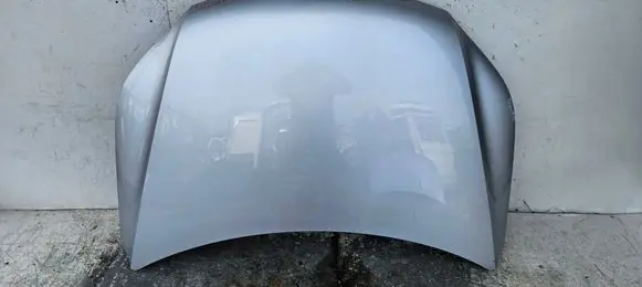 Volkswagen Tiguan Engine bonnet/hood 