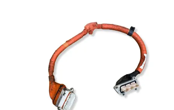 Lexus NX Other wiring loom G214848070C