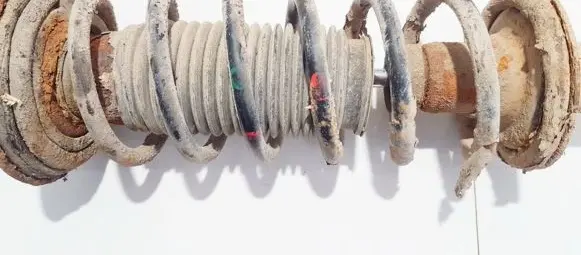 Hyundai Sonata Rear coil spring