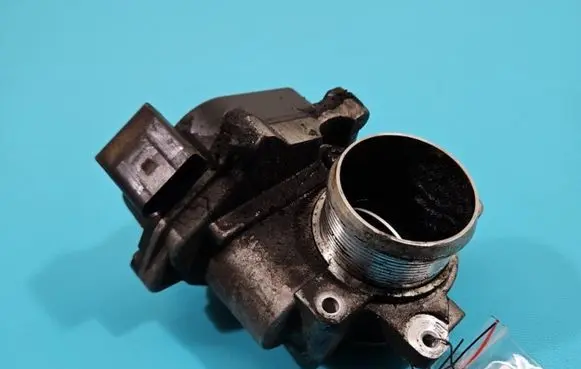 Throttle body valve