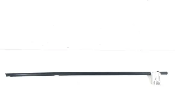 Rear door trim (molding)